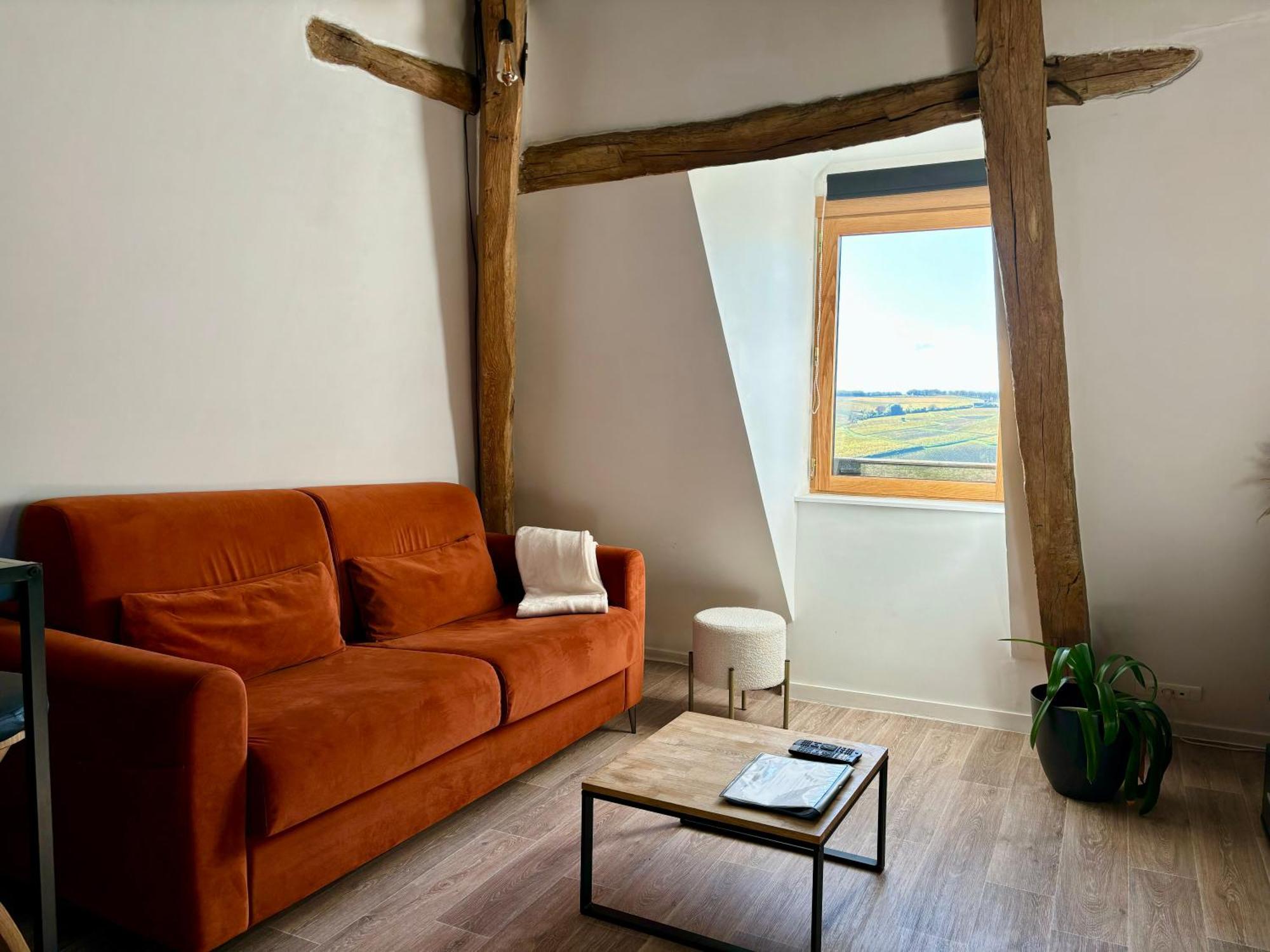 Appartement Cosy Vue Sur Le Vignoble Sancerre Esterno foto